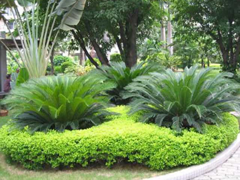 假山景觀設(shè)計(jì)