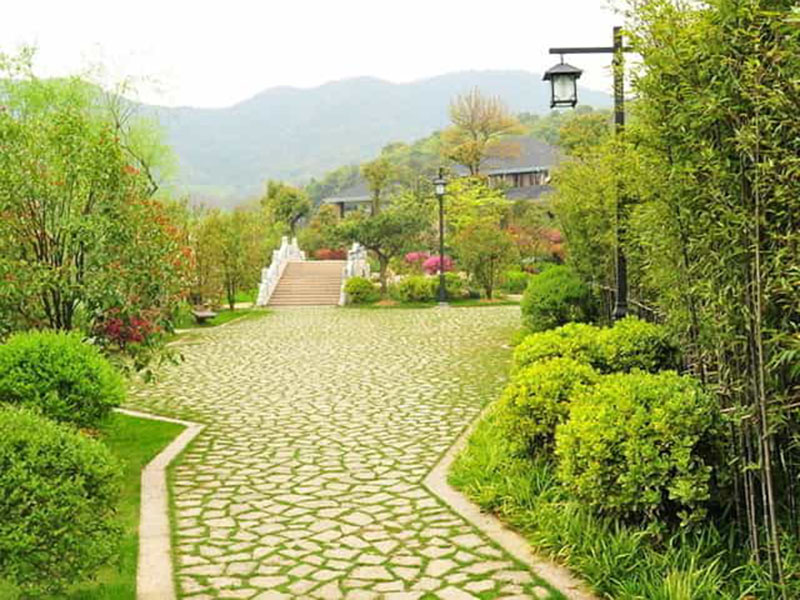 邊坡綠化養(yǎng)護