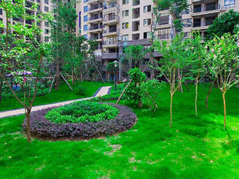 垂直綠化養(yǎng)護