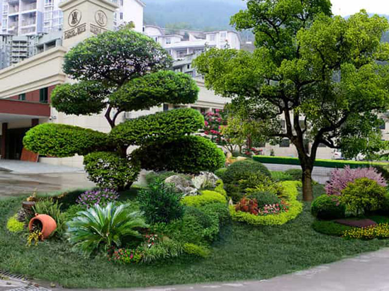 綠化養(yǎng)護服務