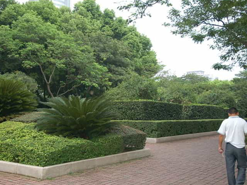 市政綠化養(yǎng)護服務