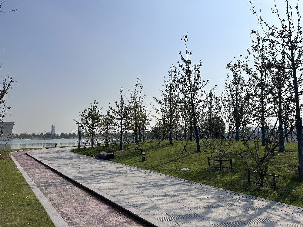 經(jīng)開(kāi)區(qū)城市客廳